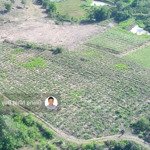 Bán 7.067,6 m2 đất nông nghiệp tại tỉnh daklak