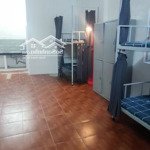 Cho thuê homestay giường tầng tìm nam ở ghép tại trương định