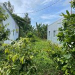 Nền rẻ cach chợ bà đầm 500m