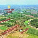 Cần bán 6sào(6000m2) đất view cánh đồng tại hoà khánh-450tr/sào