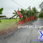 Thửa đất 25x131m mặt tiền đường lê thị phụng, xã mỹ ngãi, thành phố cao lãnh, đồng tháp