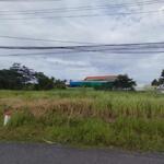 Bds Ql 1A, Bình Minh, Vĩnh Long