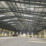 Cho Thuê Kho Xưởng Trong Kcn Xuyên Á, Kcn Hoàng Gia, Đức Hòa, Long An