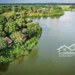 Bán đất sào có thổ cư 1000m2, view hồ, liền kề dân cư chỉ 299 triệu