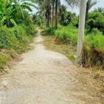 Nền Phú Tân - Tp Bến Tre
