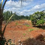 đất vườn sầu riêng giá rẻ tại huyện cẩm mỹ