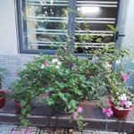 Cho Thuê Nhà Khu Đô Thị Sinh Thái Ecolack Mỹ Phước