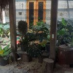 Cho thuê làm quán cafe . nhậu 500m2. hướng tây
