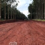 Bán Đất Xuân Hưng Xuân Tâm