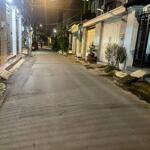 Bán Nhà - Lê Đình Cẩn - Bình Tân - Chỉ 2,9 Tỷ - 40M2 -Hẽm Xe Hơi- Ko Lộ Giới, Ko Quy Hoạch - Sổ Hồng Rêng