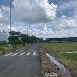 Mua Bán Đất Phường An Phú (Quận 2 Cũ), Thành Phố Thủ Đức Giá Rẻ
