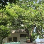 Nhà mặt tiền -ngay ngã tư quận 12
