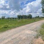 Đất Ngộp 1145M2, Giá Bán 1Ty3. Sổ Hồng Riêng