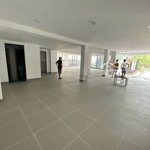 Cho thuê mặt bằng officetel khu tân quy,quận 7, dt 180m2, giá 42 triệu