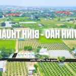 đất biển sổ đổ full thổ cư liên hương - bình thuận cách biển 500m giá chỉ 750 triệu/nền