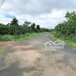 Chủ kẹt tiền ngân hàng cần bán gấp xã lộc an huyện bảo lâm giá bán 590 triệu