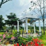 đất nền ngộp ngân hàng