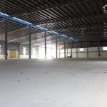Nhà xưởng 4800m2-10000m2 kcn mỹ xuân b1, phường mỹ xuân, tân thành, brvt