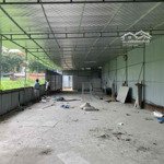 Cho thuê kho 230m2 vuông vắn, ngõ xe 5 tấn tại lĩnh nam