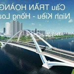 Chưa thấy nền nào rẻ hơn nền này. hồng loan