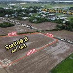 đất lúa đường ô tô giá bán 450 triệu/1000m2