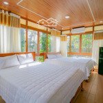 Bán homestay 7 phòng đang khai thác ổn định, giảm 10 tỷ bằng giá đất