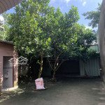 Bán Nhà (333M2)Mặt Tiềnđường Nguyễn Minh Trường P3, Tân An, Long An