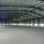 Cho thuê kho xưởng long định, cần đước, long an. dt kho 1000m2, 1800m2, 3400m2. giá 55k/m2