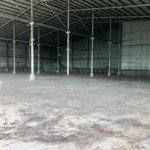 Cho thuê kho 2.900m2 mặt tiền đường tỉnh lộ 870 - châu thành - tg