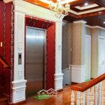 Siêu phẩm biệt thự vip nhất tân phú, 5 tầng, ngang (8m x 52m), thoại ngọc hầu, hiệp tân, giá bán 55 tỷ