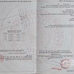 Đường Nhựa Lô B An Hạ, Vị Trí Đẹp, Giá Mềm, Sinh Lợi Cao