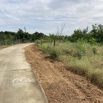 đất 1 sào phú lộc - huyện tân phú sổ riêng, giá rẻ chỉ 780 triệu
