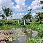 Bán đất view suối thề tiện làm ngỉ dưỡng, farm, homestay, tại cẩm mỹ, đồng nai, dt 3000m2 giá 3 tỷ