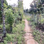 Cắt lỗ 2 sào vườn trái cây tại xã phú thịnh - tân phú - đồng nai