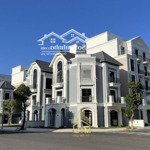 Cho thuê butique villas hoàn thiện đẹp, đối diện vinshool giá rẻ nhất