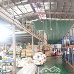 Cho thuê kho xưởng pccc tự động tại kiêu kỵ - gia lâm - hn, dt: 1000m2 - 2000m2