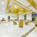 Cho thuê căn hộ golden bay đà nẵng - view biển tuyệt đẹp, giá thuê tốt nhất dự án. gọi 0961442079