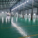 Cho thuê kho xưởng 2000m² thuận giao, thuận an