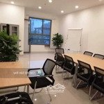 Văn phòng công ty 14 triệu/tháng 36m2 tại newton residence, 38 trương quốc dung, phú nhuận