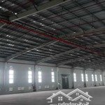 Cho thuê kho xưởng 10.000m2 tại kcn hải sơn