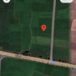 Cho Thuê Đất Lúa 3600M2 An Nhứt Long Điền