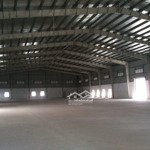 Chính Chủ Cho Thuê Kho 2000M2, Đường Xe Công 24H - Vòng Xoay An Lạc