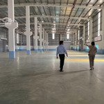 Cho thuê kho xưởng tại kcn viglacera yên mỹ, yên mỹ, hưng yên. diện tích 1300m2.