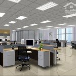 Cho thuê sàn văn phòng phố lý nam đế,diện tích200m2, giá bán 50 triệu, ô tô đỗ cửa, thang máy, hầm để xe