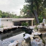 Bán homestay tuyệt đẹp, đẹp đến từng xăng ti mét, diện tích 776m2 tại thị xã sơn tây hà nội