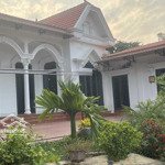 Bán gấp homestay 2025m2 tại cổ đông, sơn tây, giá chỉ 5,x tr/m2. lh 0984235555