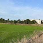 đất lúa được chuyển thổ mặt tiền đường kháng chiến gần waterpoint