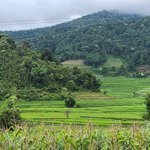 1700m2 thạch yên, hòa bình view ruộng bậc thang