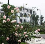 Cho thuê nhà liền kề khu đô thị the eden rose - ngõ 908 kim giang