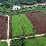 Bán đất vườn trong nông trại southern pleiku farm giá 200 triệu/1000m2 ck 10%